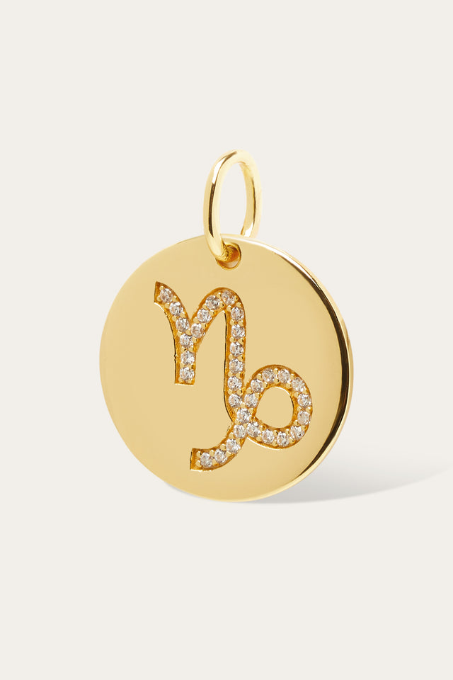 Capricorn gold vermeil zodiac disc
