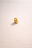 Butterfly Earring Posts – 24ct Gold Plated