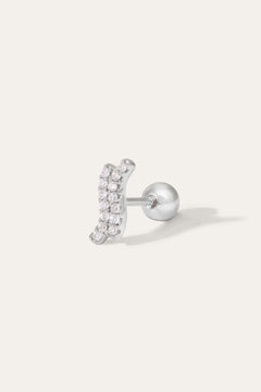 silver stud earrings