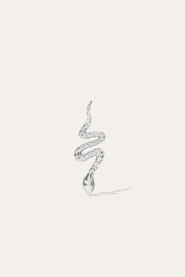 Large Snake Silver Charm
