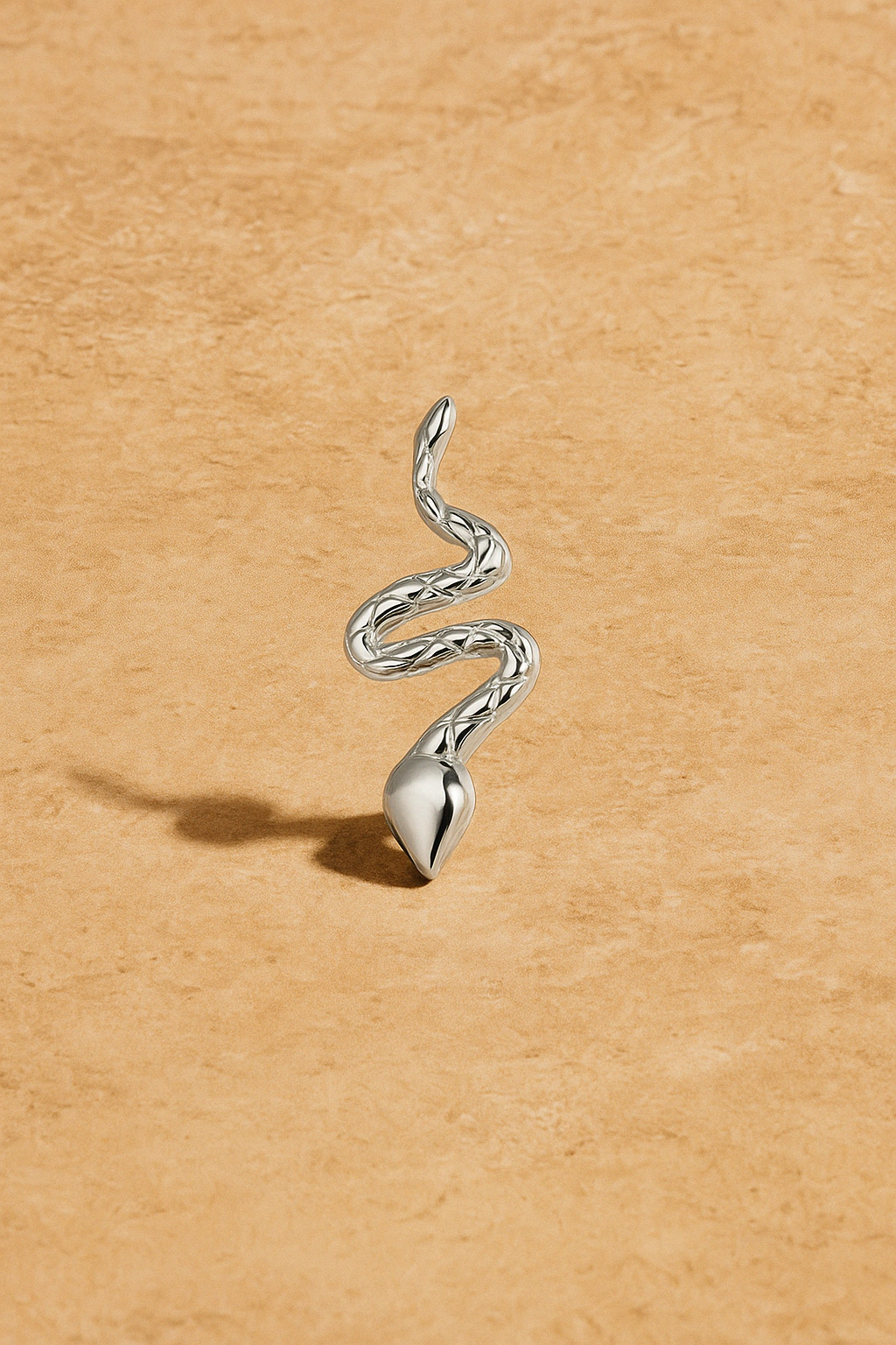 Large Snake Silver Charm