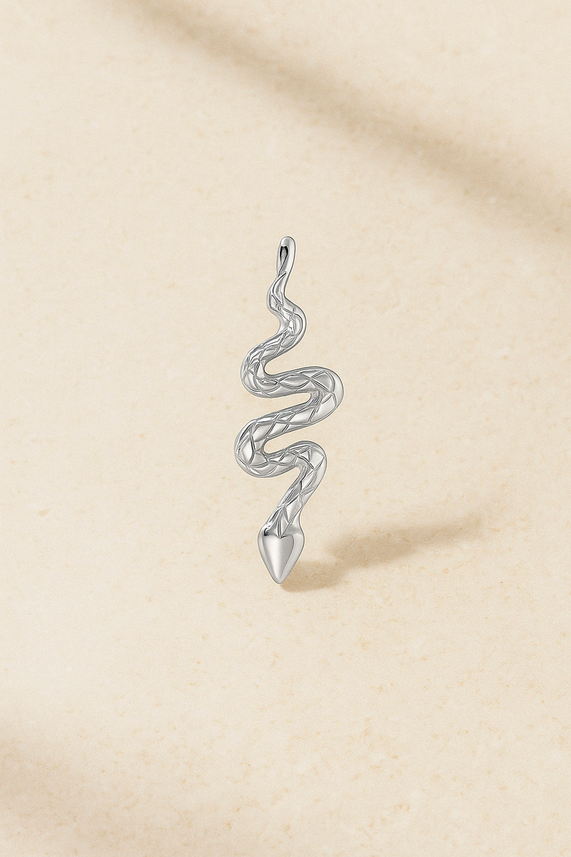 Medium Snake Silver Charm